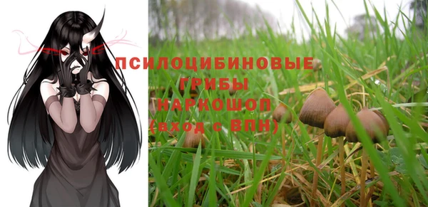 твердый Алексеевка