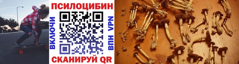 Галлюциногенные грибы ЛСД  Суджа 
